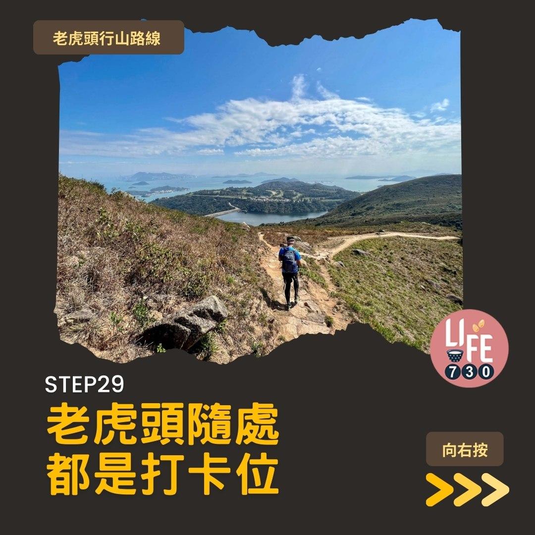 芒草2023|老虎頭行山路線(am730製圖)