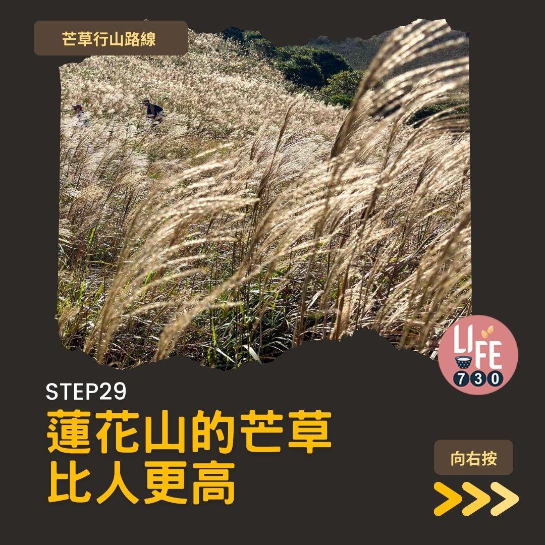 芒草行山路線︱蓮花山接大東山爛頭營(am730製圖)