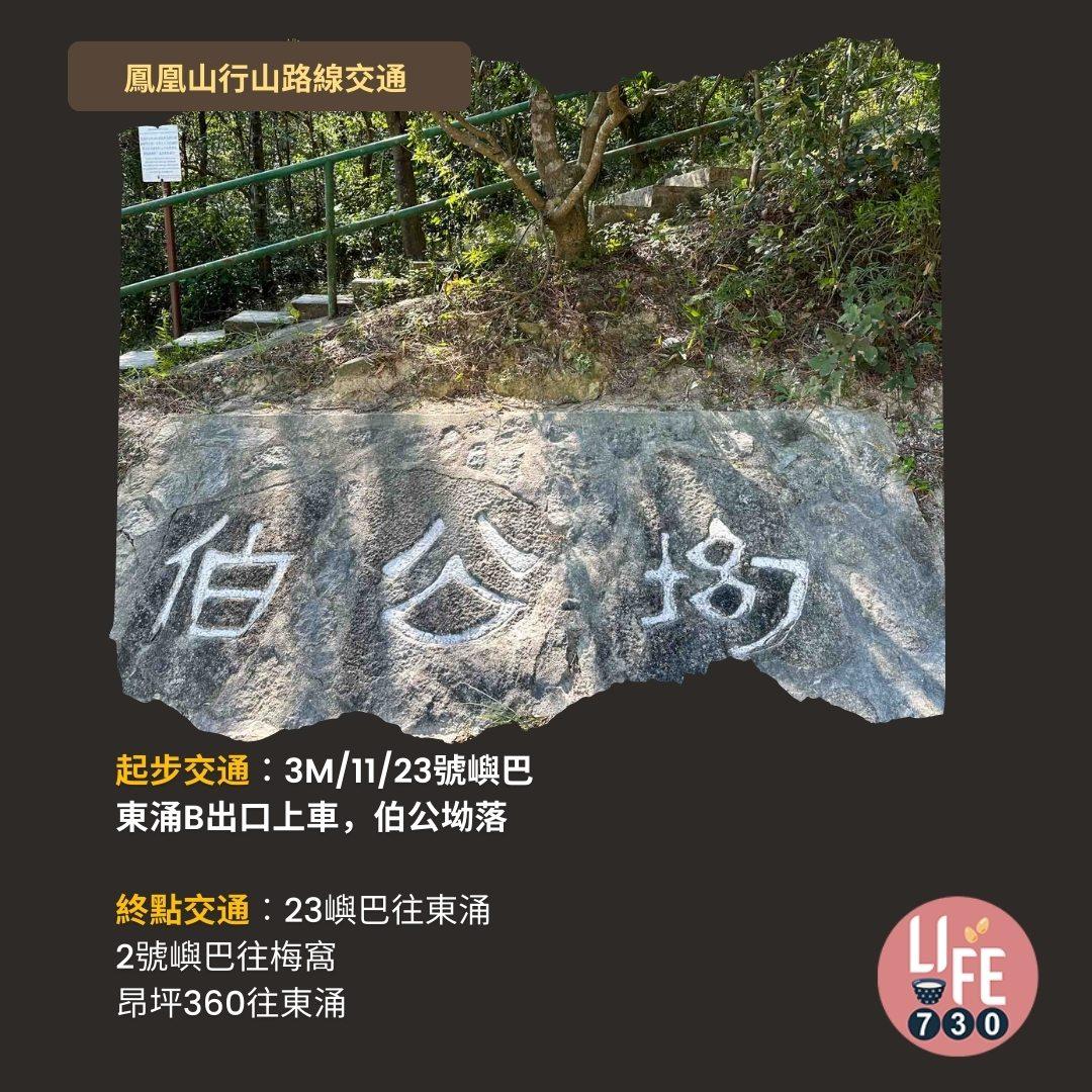 鳳凰徑三段登鳳凰山賞芒草行山路線(am730製圖)
