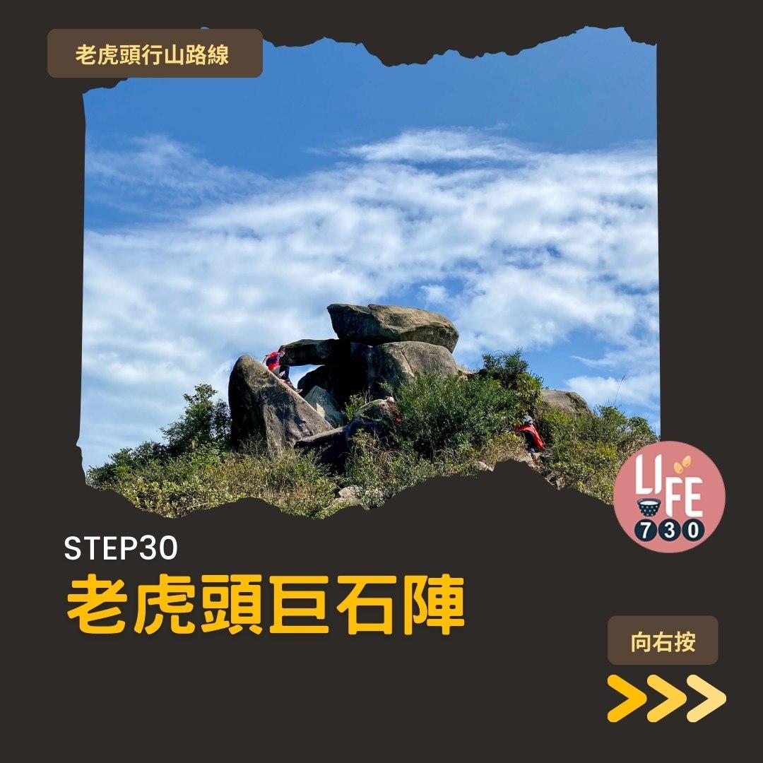 芒草2023|老虎頭行山路線(am730製圖)