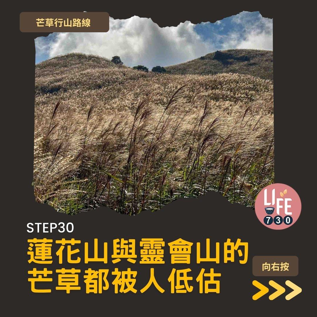 芒草行山路線︱蓮花山接大東山爛頭營(am730製圖)