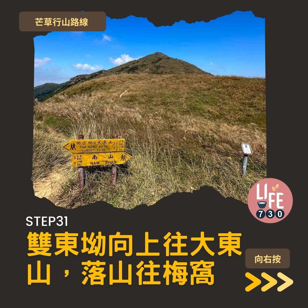 芒草行山路線︱蓮花山接大東山爛頭營(am730製圖)