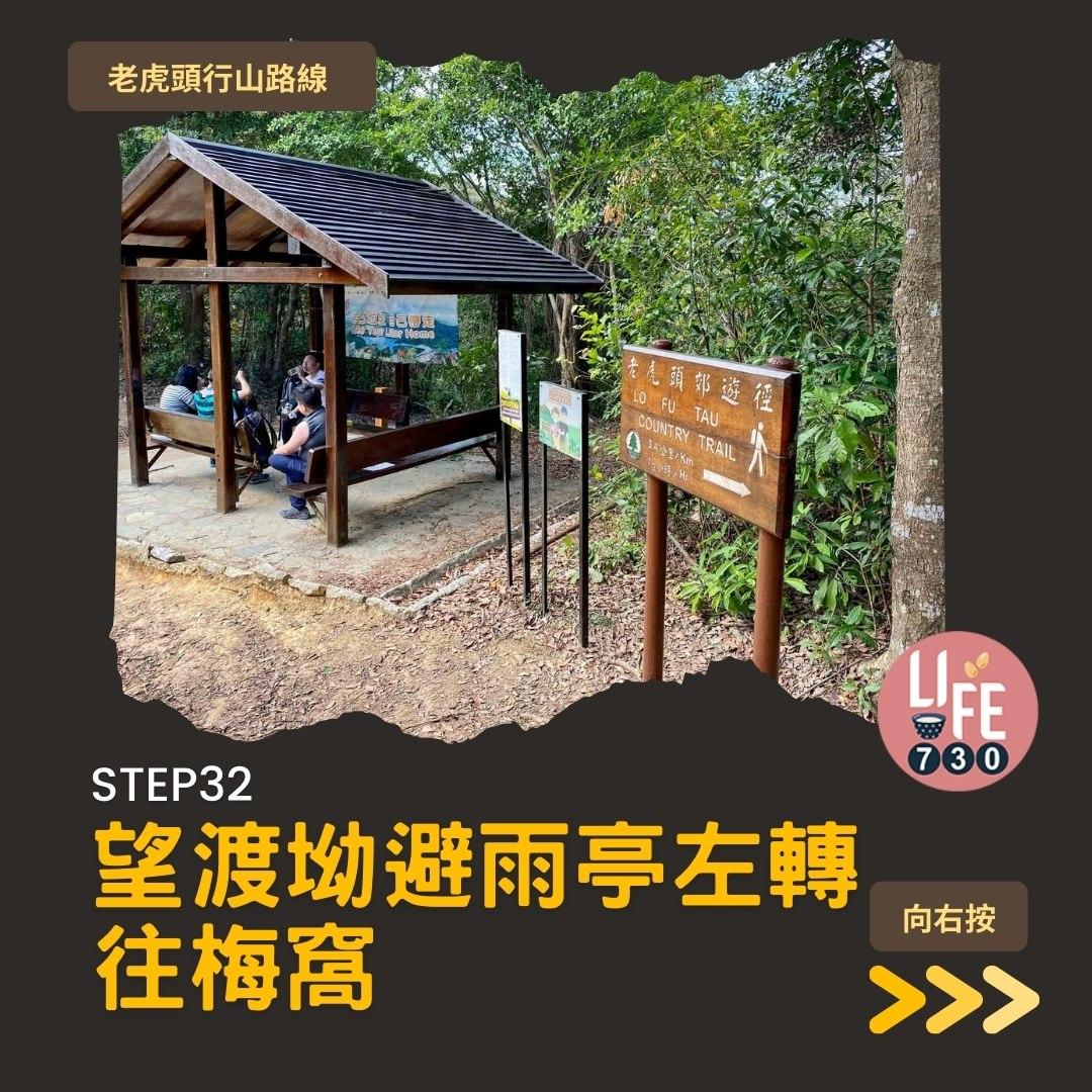 芒草2023|老虎頭行山路線(am730製圖)