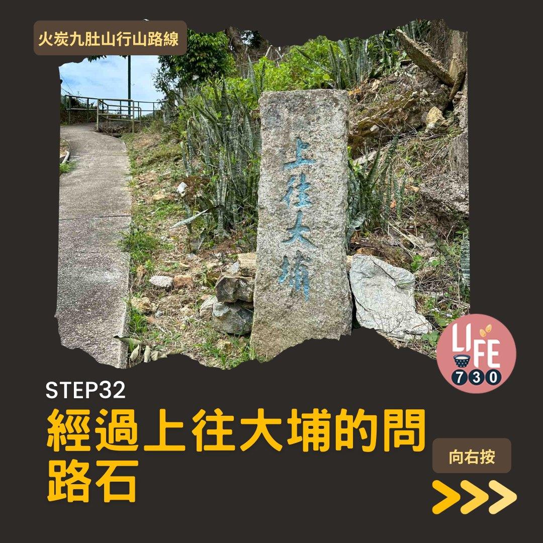 火炭九肚山行山路線賞芒草(am730製圖)