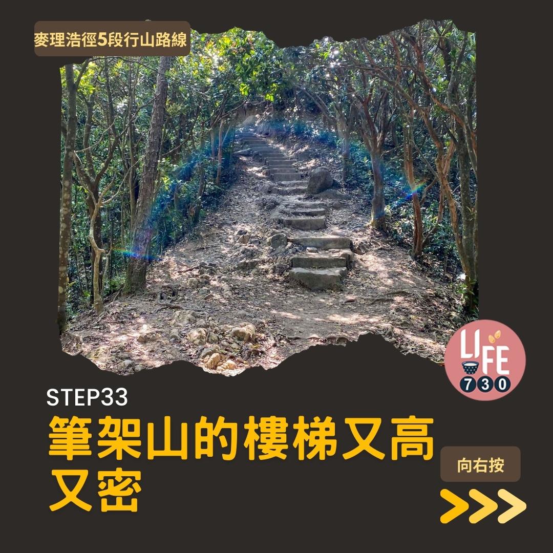 麥理浩徑5段行山路線(am730製圖)