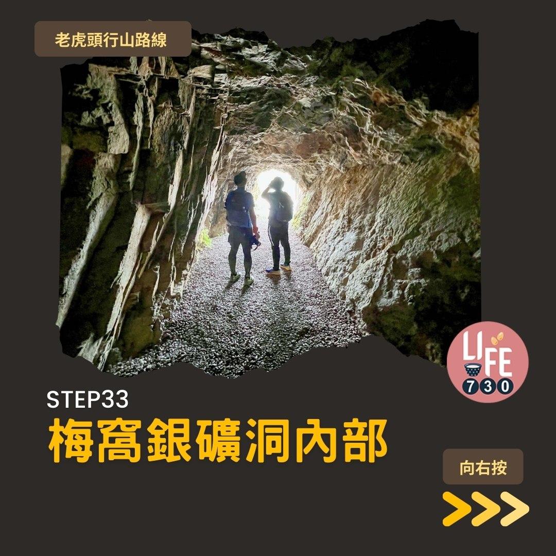 芒草2023|老虎頭行山路線(am730製圖)