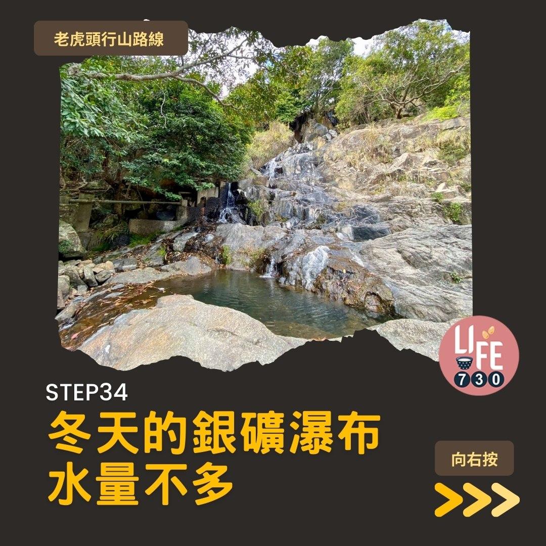 芒草2023|老虎頭行山路線(am730製圖)