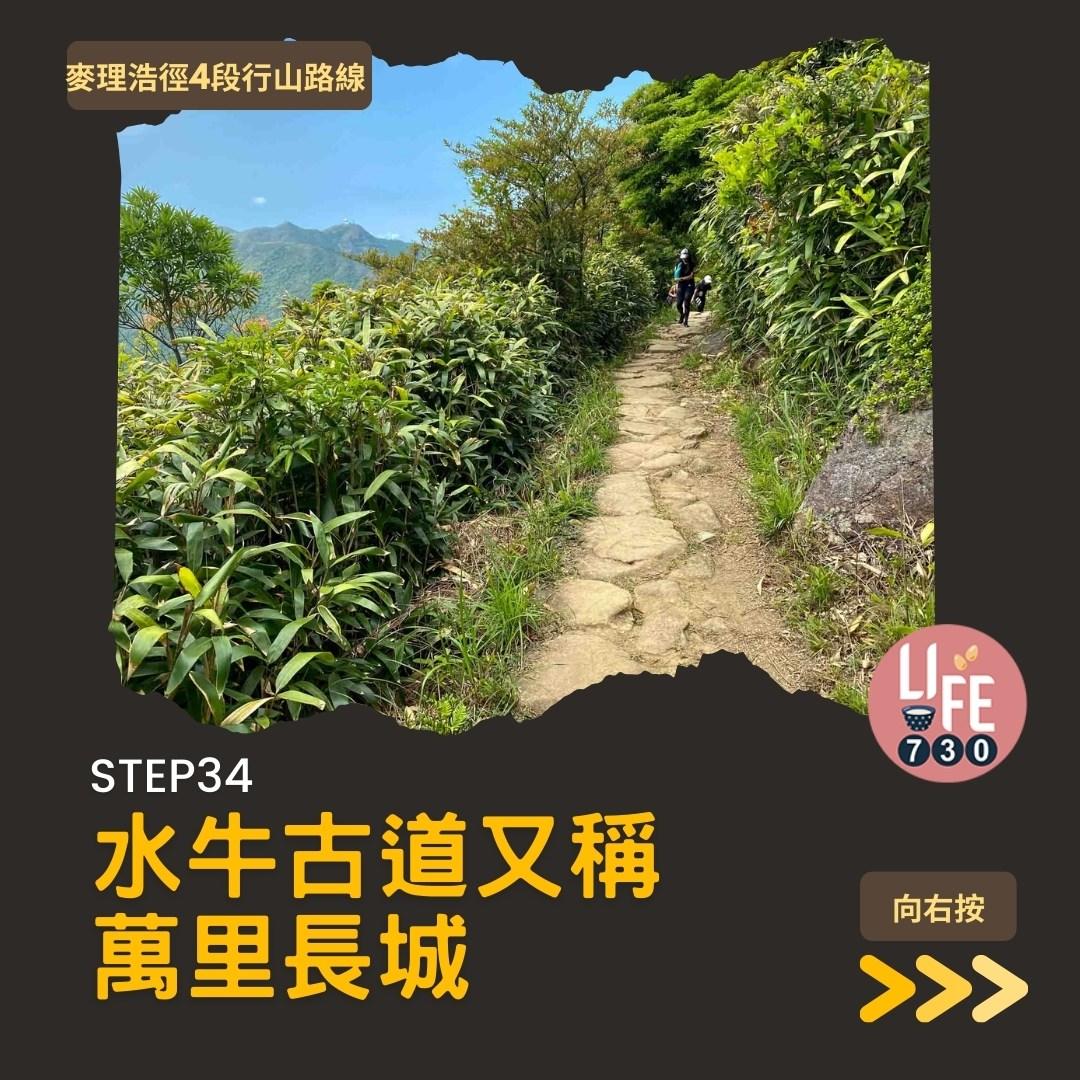 麥理浩徑4段行山路線 水浪窩起步經彎曲山昂平抵基維爾營(am730製圖)