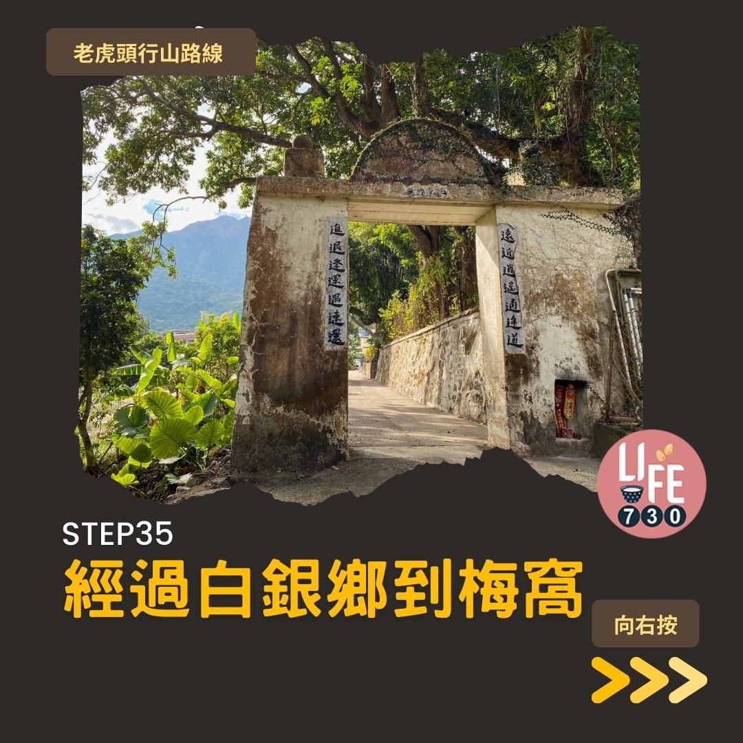 芒草2023|老虎頭行山路線(am730製圖)