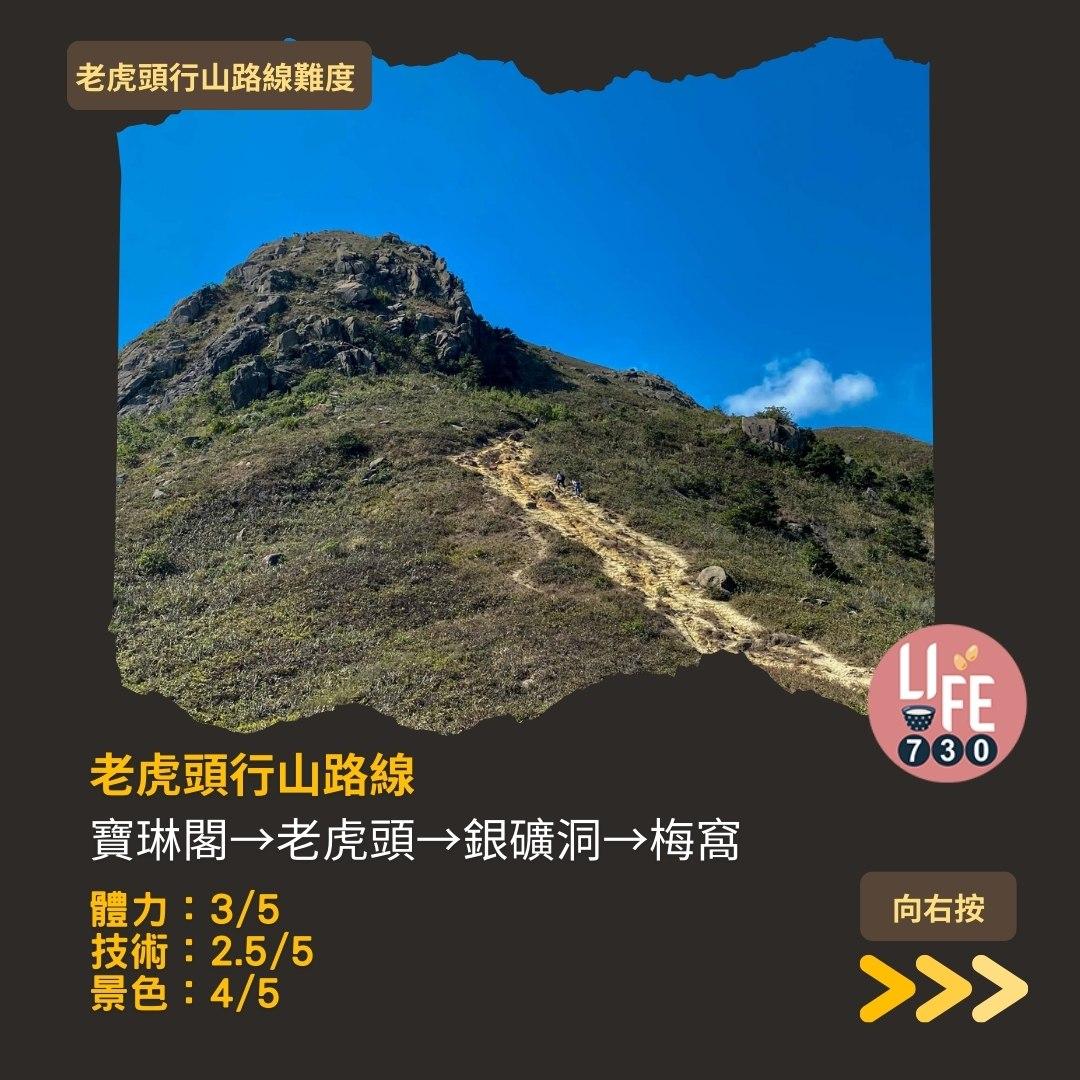 芒草2023|老虎頭行山路線(am730製圖)