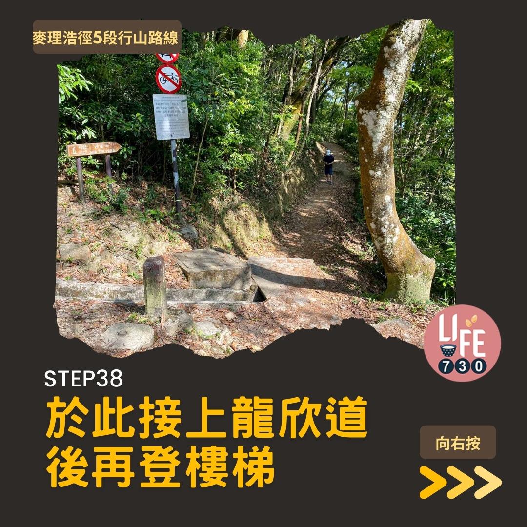 麥理浩徑5段行山路線(am730製圖)