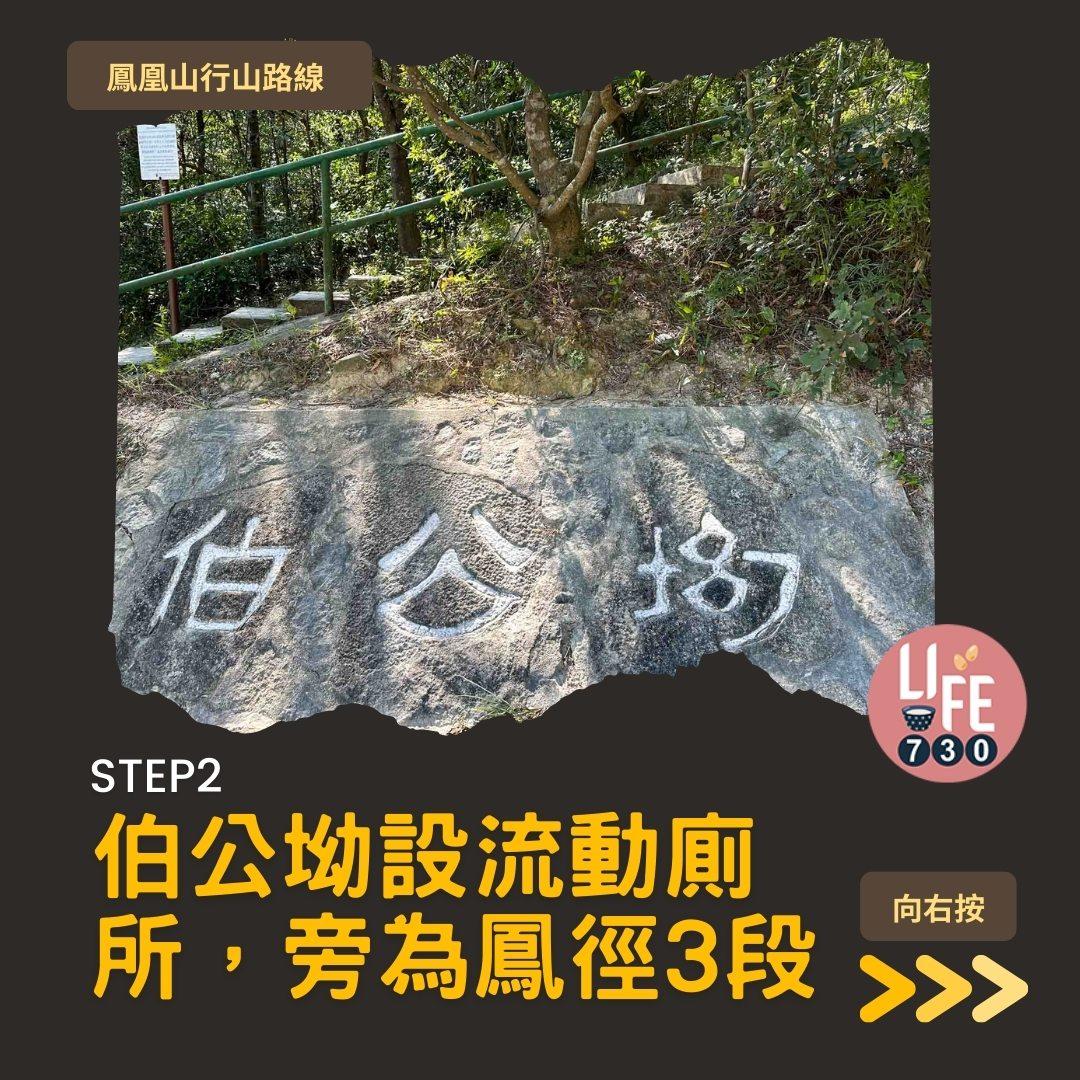 鳳凰徑三段登鳳凰山賞芒草行山路線(am730製圖)