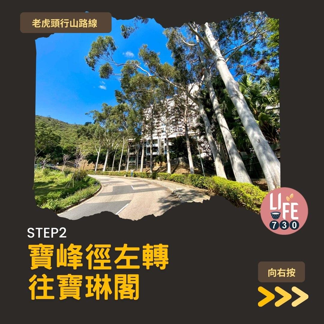 芒草2023|老虎頭行山路線(am730製圖)