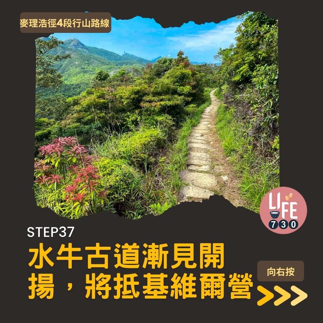 麥理浩徑4段行山路線 水浪窩起步經彎曲山昂平抵基維爾營(am730製圖)