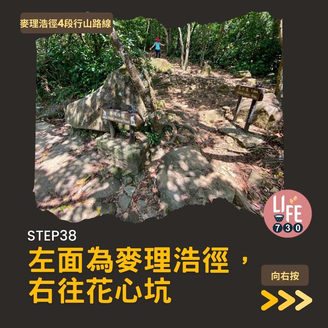 麥理浩徑4段行山路線 水浪窩起步經彎曲山昂平抵基維爾營(am730製圖)