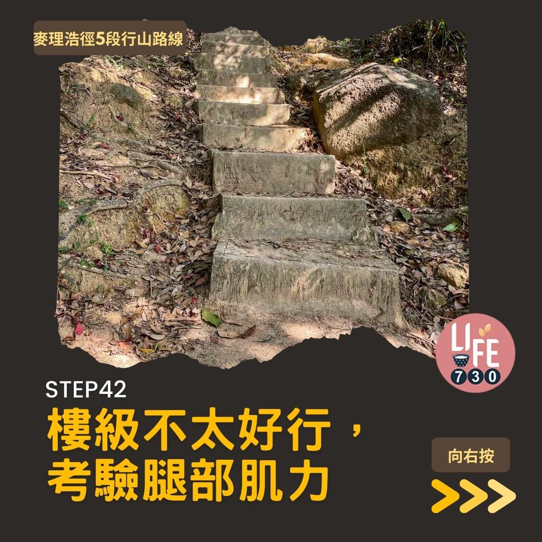 麥理浩徑5段行山路線(am730製圖)