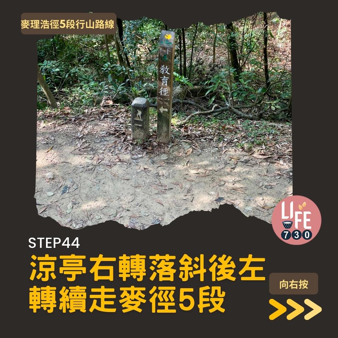 麥理浩徑5段行山路線(am730製圖)