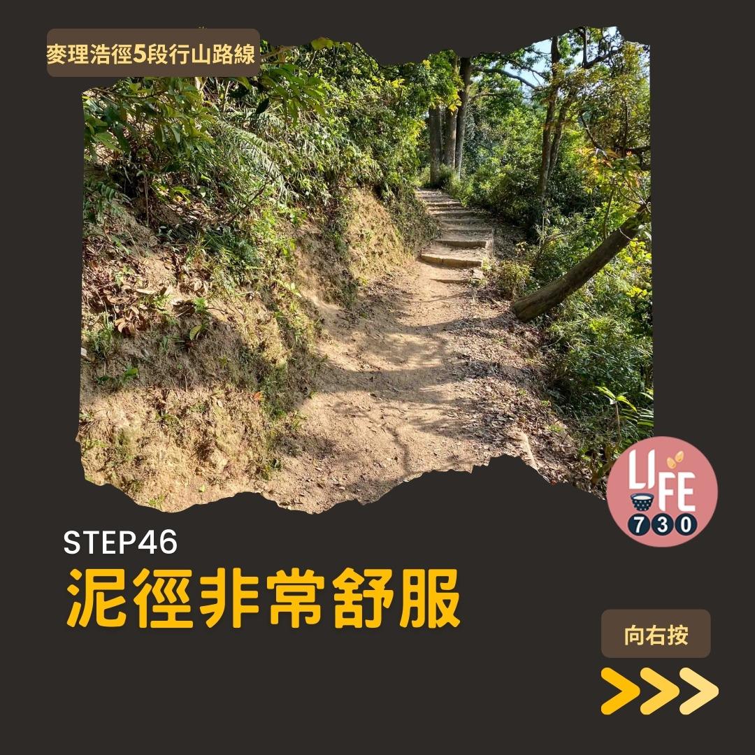 麥理浩徑5段行山路線(am730製圖)