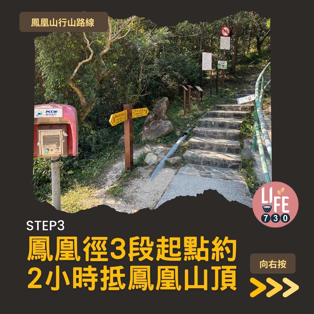 鳳凰徑三段登鳳凰山賞芒草行山路線(am730製圖)