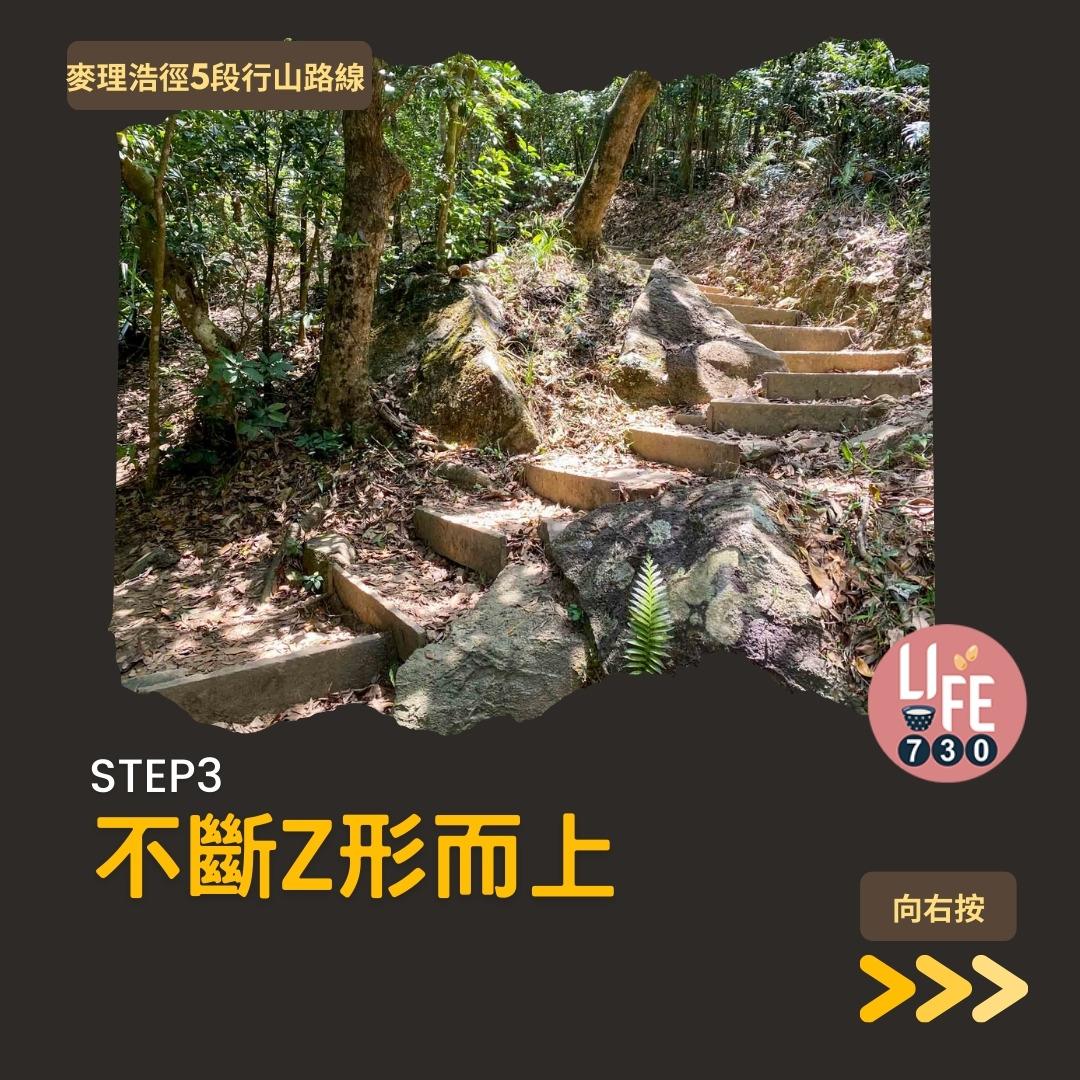 麥理浩徑5段行山路線(am730製圖)