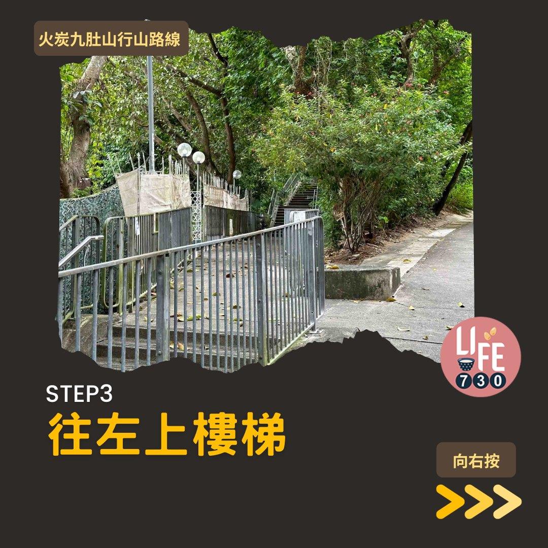 火炭九肚山行山路線賞芒草(am730製圖)