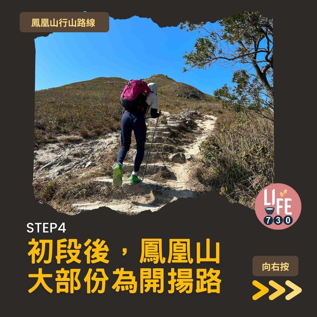 鳳凰徑三段登鳳凰山賞芒草行山路線(am730製圖)