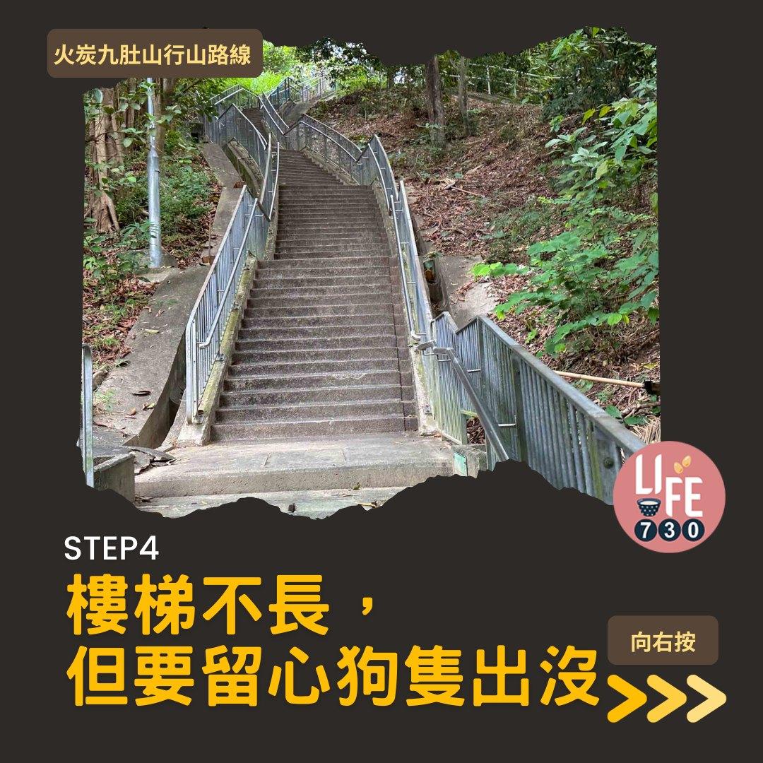 火炭九肚山行山路線賞芒草(am730製圖)