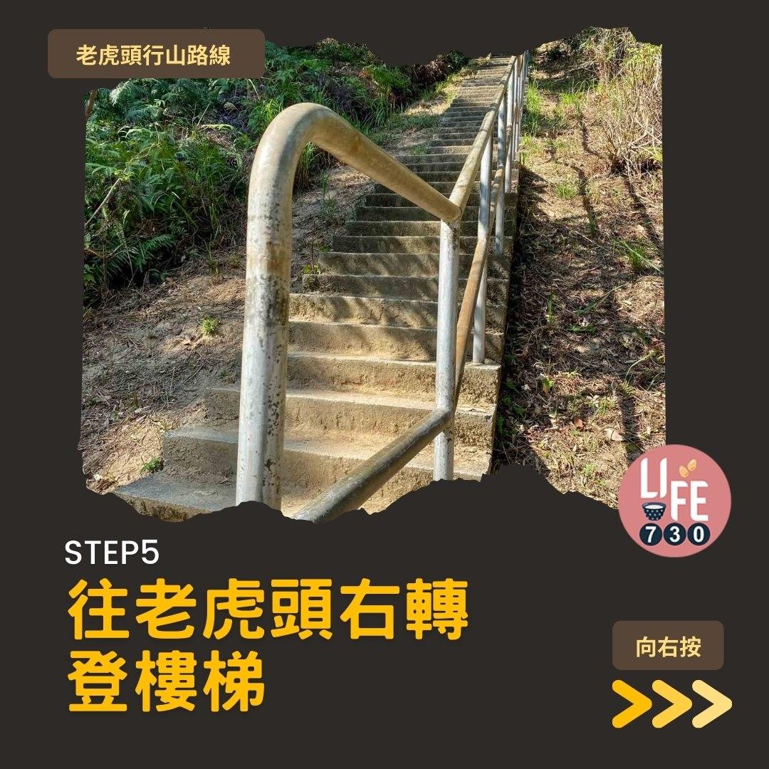 芒草2023|老虎頭行山路線(am730製圖)