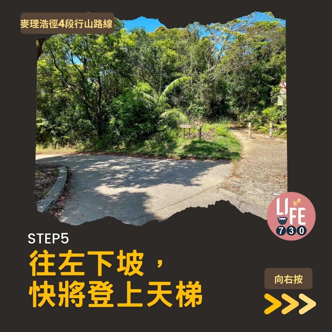 麥理浩徑4段行山路線 水浪窩起步經彎曲山昂平抵基維爾營(am730製圖)