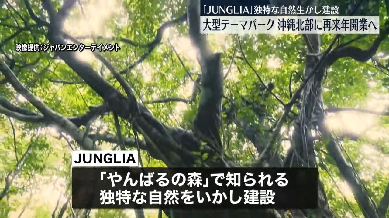 沖繩新景點|叢林探險主題公園Junglia以森林為一大賣點