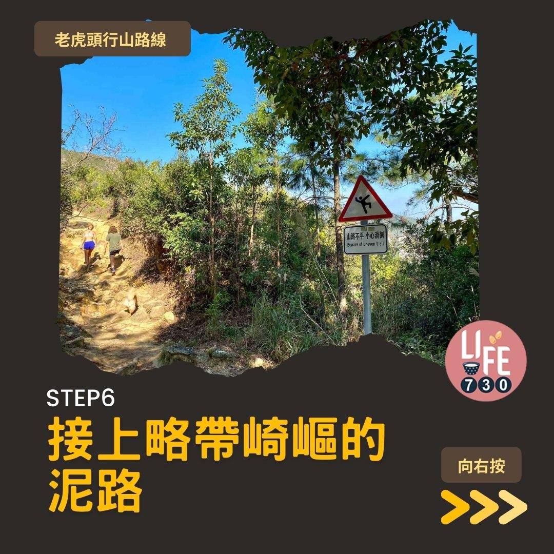 芒草2023|老虎頭行山路線(am730製圖)