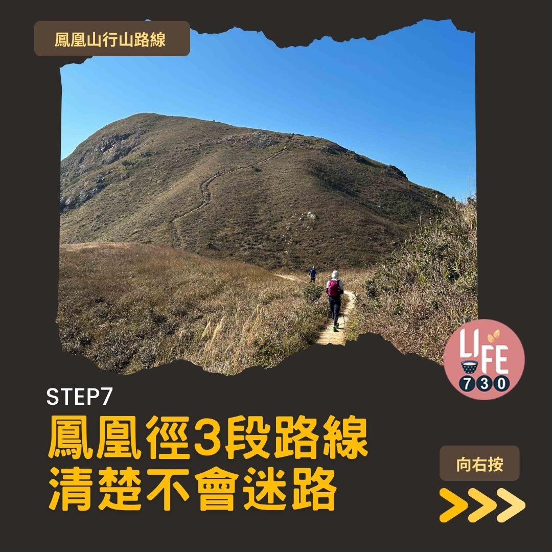 鳳凰徑三段登鳳凰山賞芒草行山路線(am730製圖)