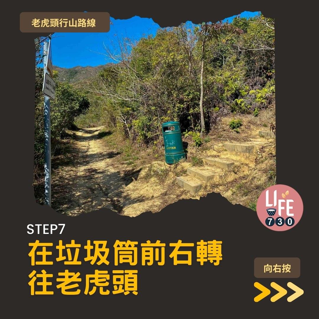 芒草2023|老虎頭行山路線(am730製圖)