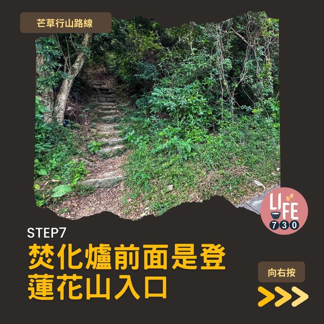 芒草行山路線︱蓮花山接大東山爛頭營(am730製圖)