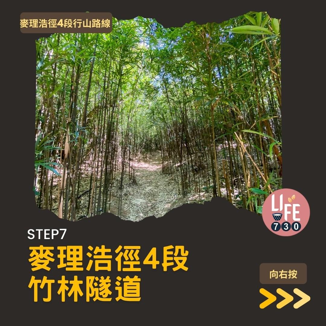麥理浩徑4段行山路線 水浪窩起步經彎曲山昂平抵基維爾營(am730製圖)