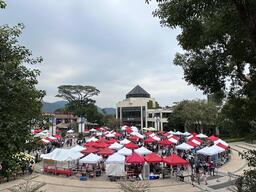 聖誕周日露天市集