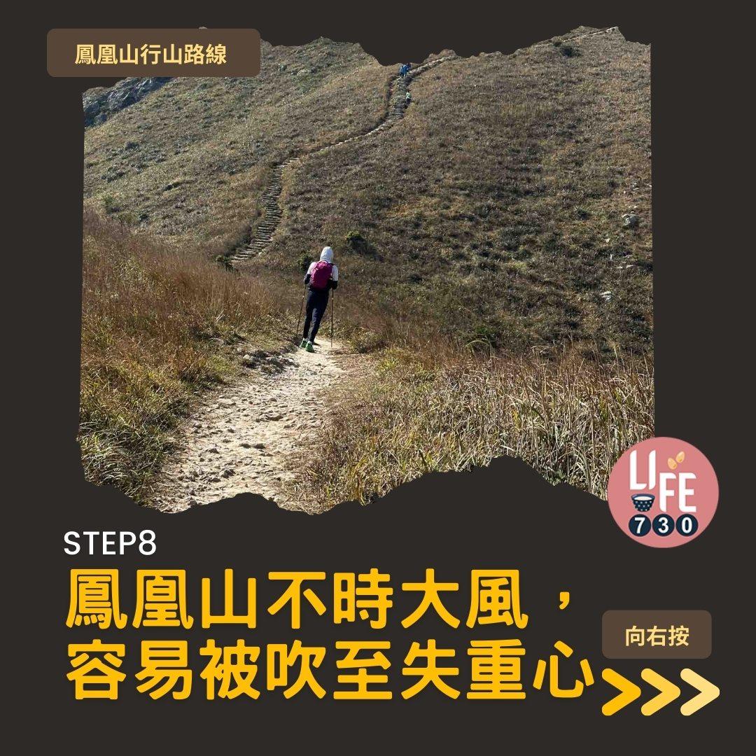 鳳凰徑三段登鳳凰山賞芒草行山路線(am730製圖)