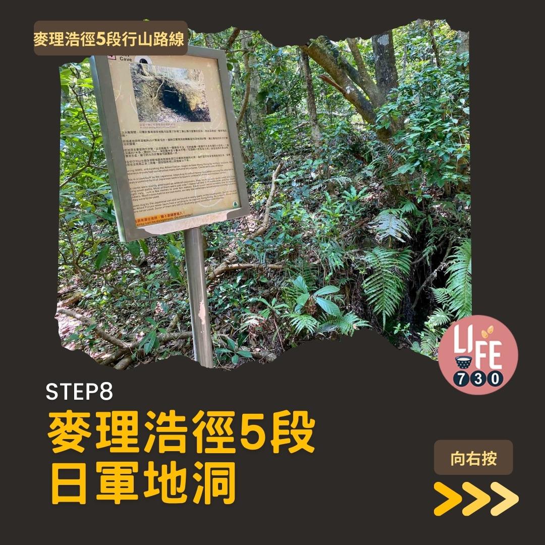 麥理浩徑5段行山路線(am730製圖)