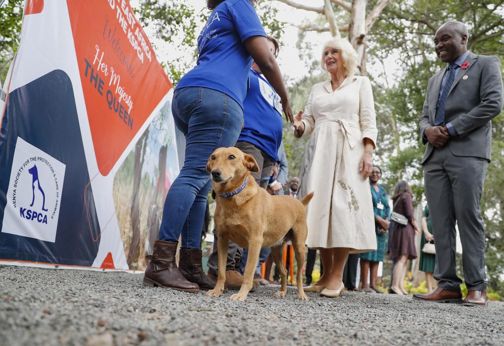 查理斯三世及王后卡米拉訪問肯尼亞︰