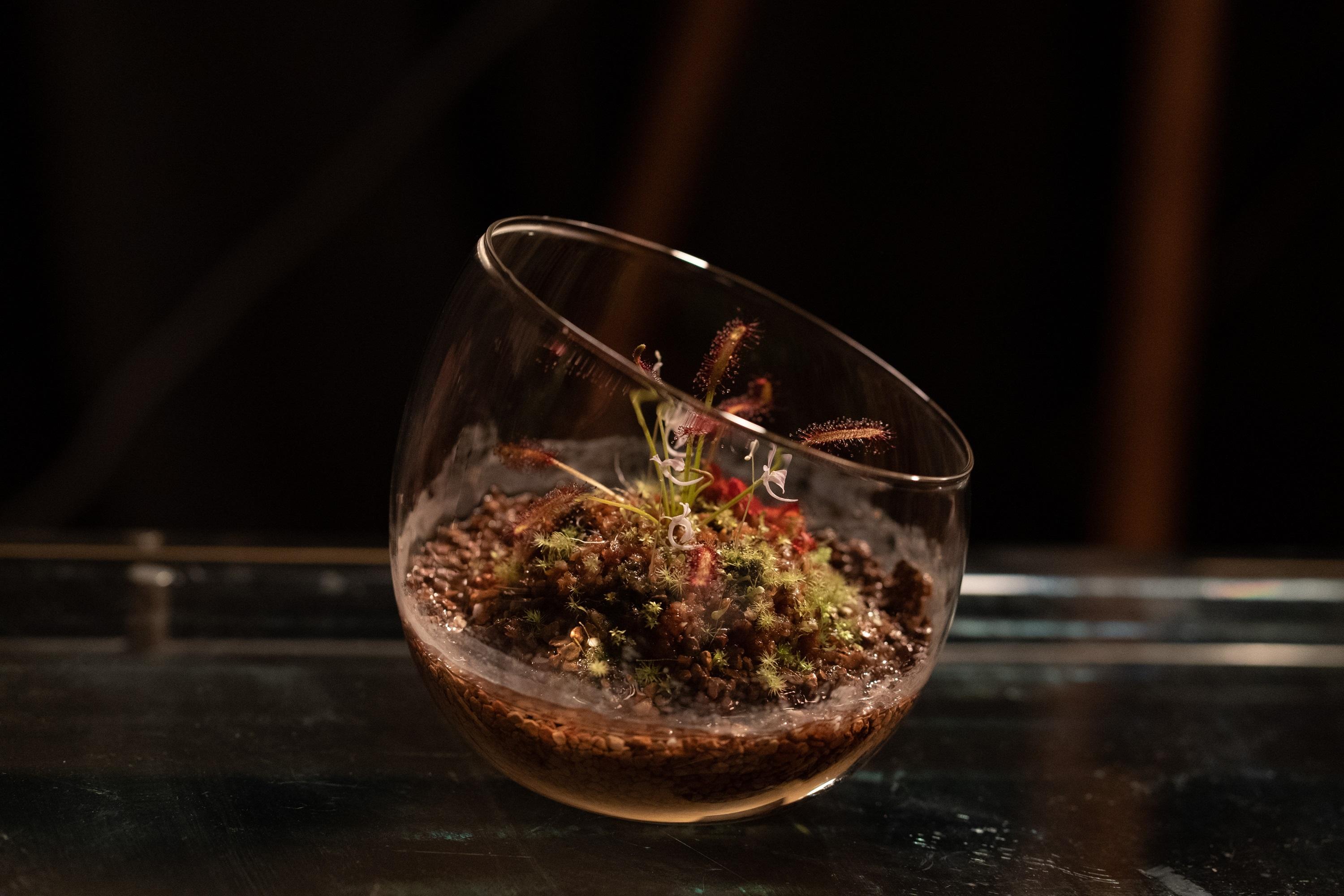 《社交恐懼癌》劇場版MV中的食蚊花是好望角毛氈苔,單拍攝花食蚊 ,就用了16 小時 。