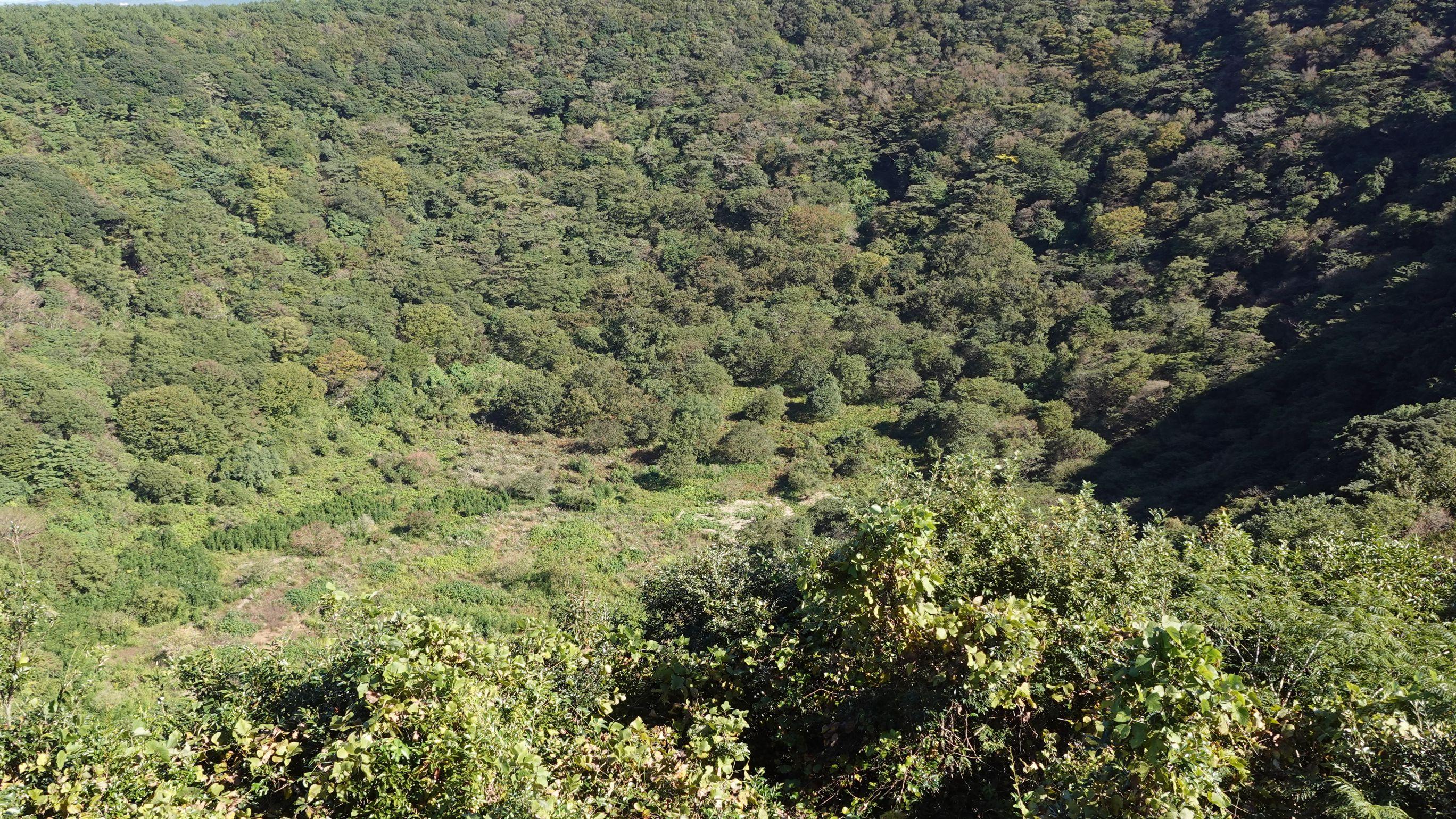 觀景台的另一邊為火山口。