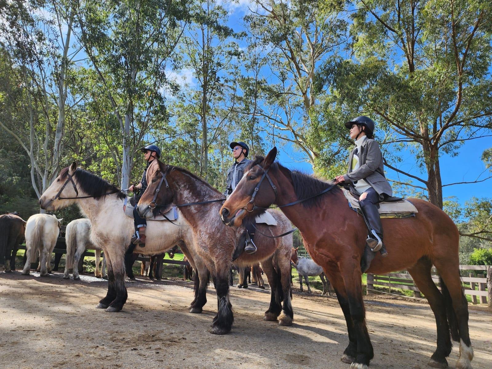 Glenworth horse riding