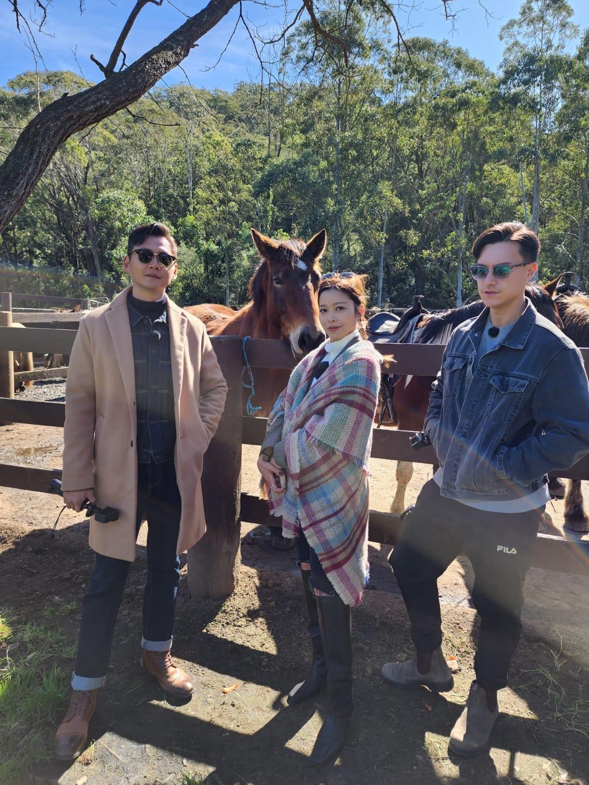 Glenworth horse riding