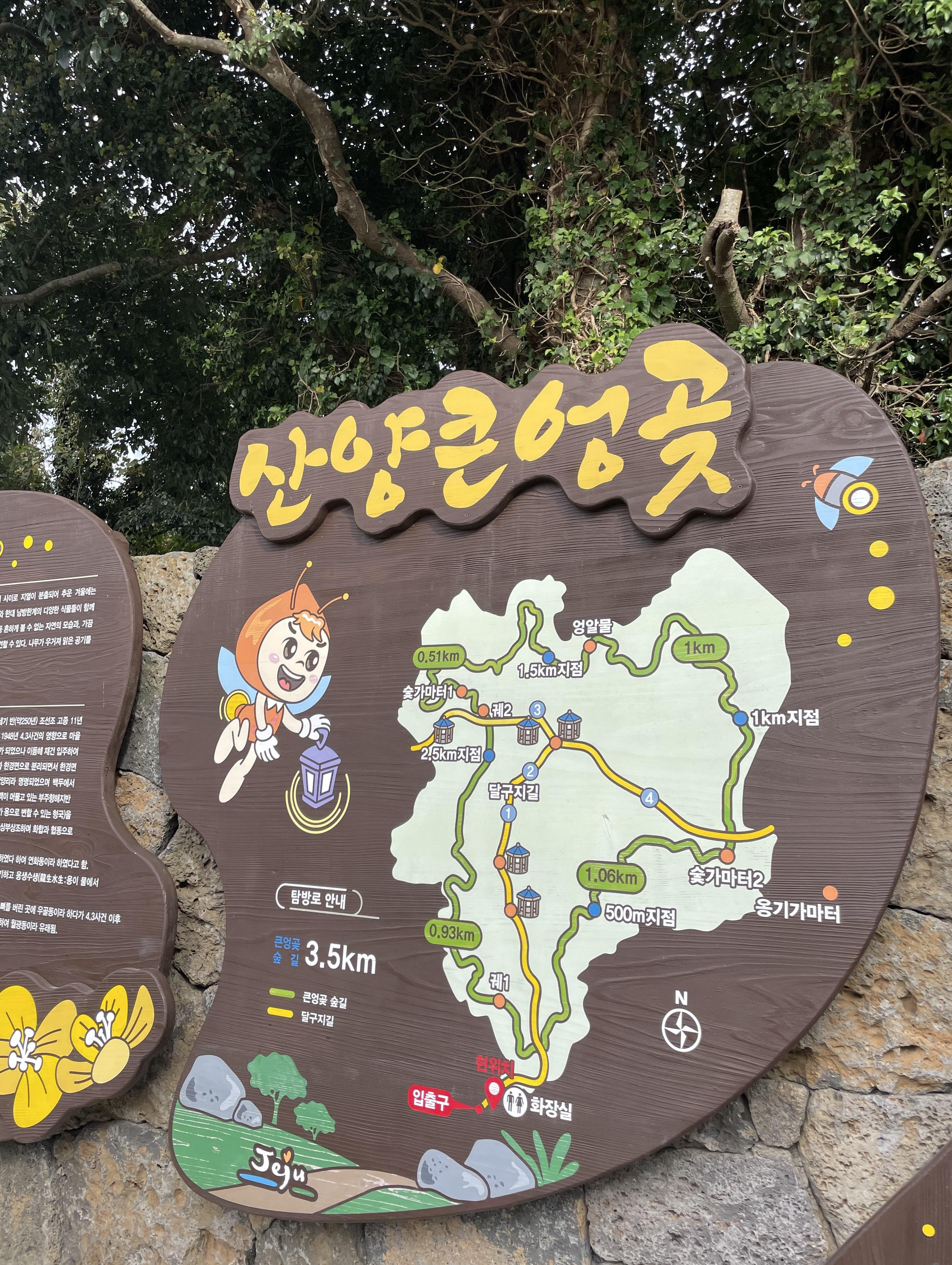 山陽葛紮瓦為近年超人氣IG打卡熱點。