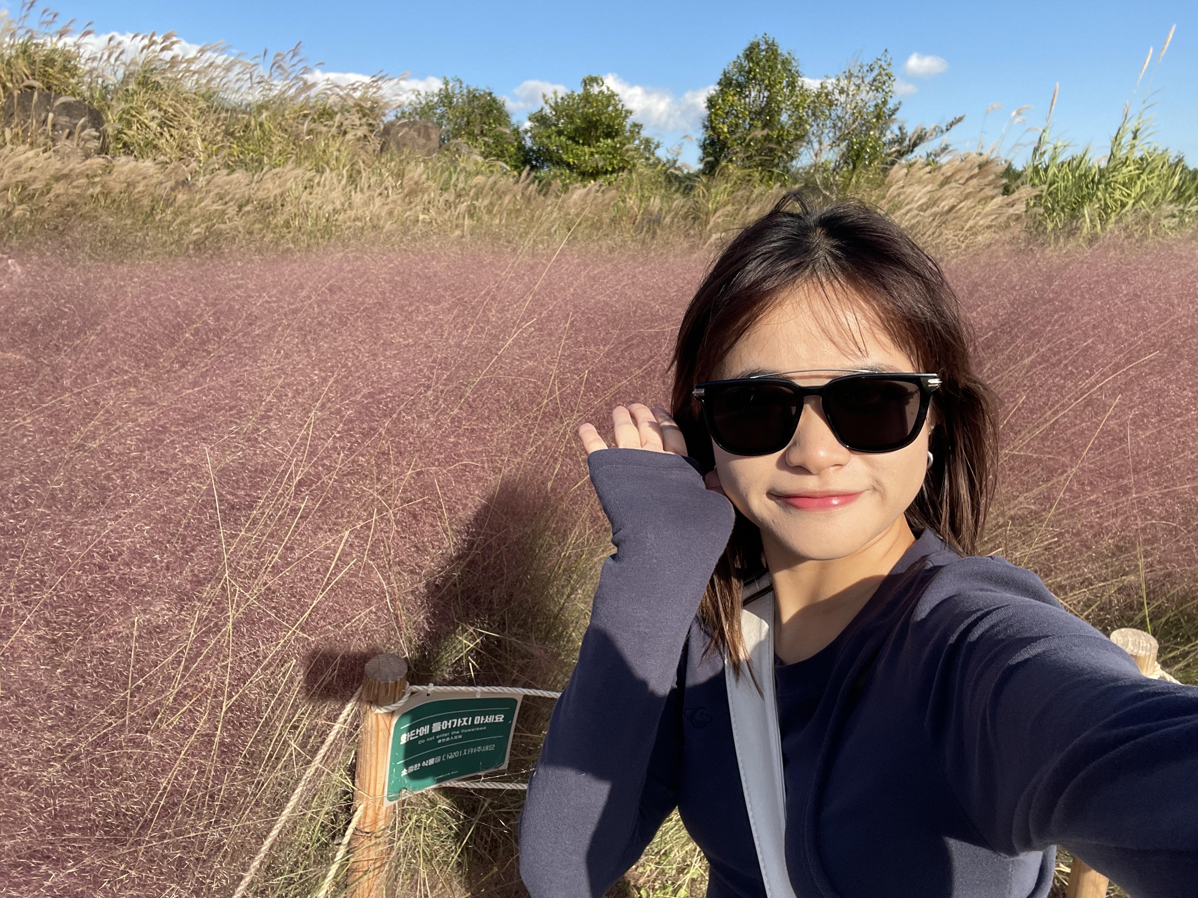 大家可以走入草叢中與粉黛亂子草打卡。