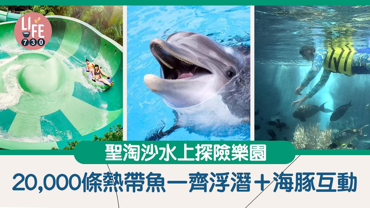新加坡旅遊好去處|聖淘沙水上探險樂園 20,000條熱帶魚一齊浮潛+海豚互動