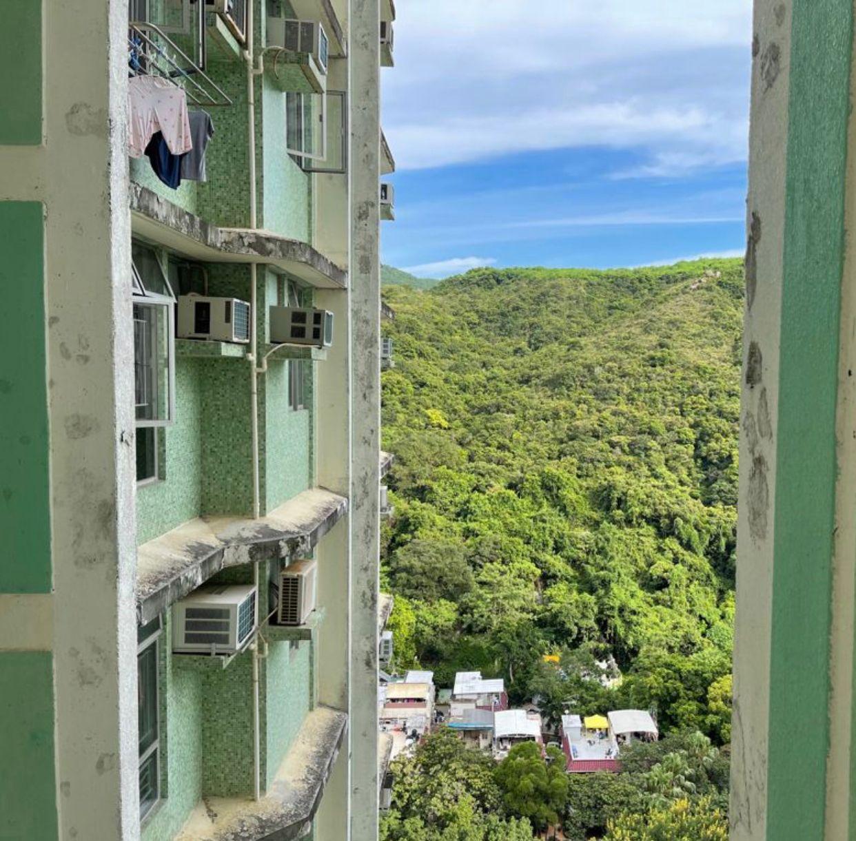 單位外望翠綠清幽山景,景觀不俗。(代理提供)