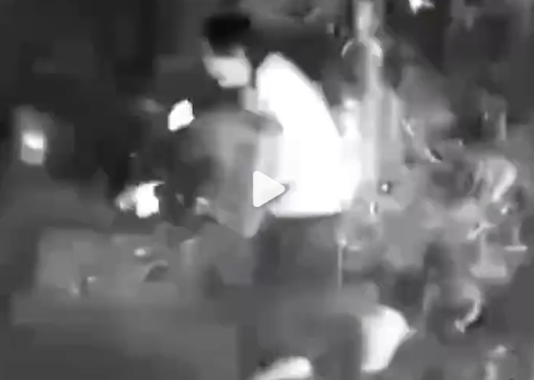 廣東殺人犯匿深山19年終落網 帶惡犬找野菜 生活如野人