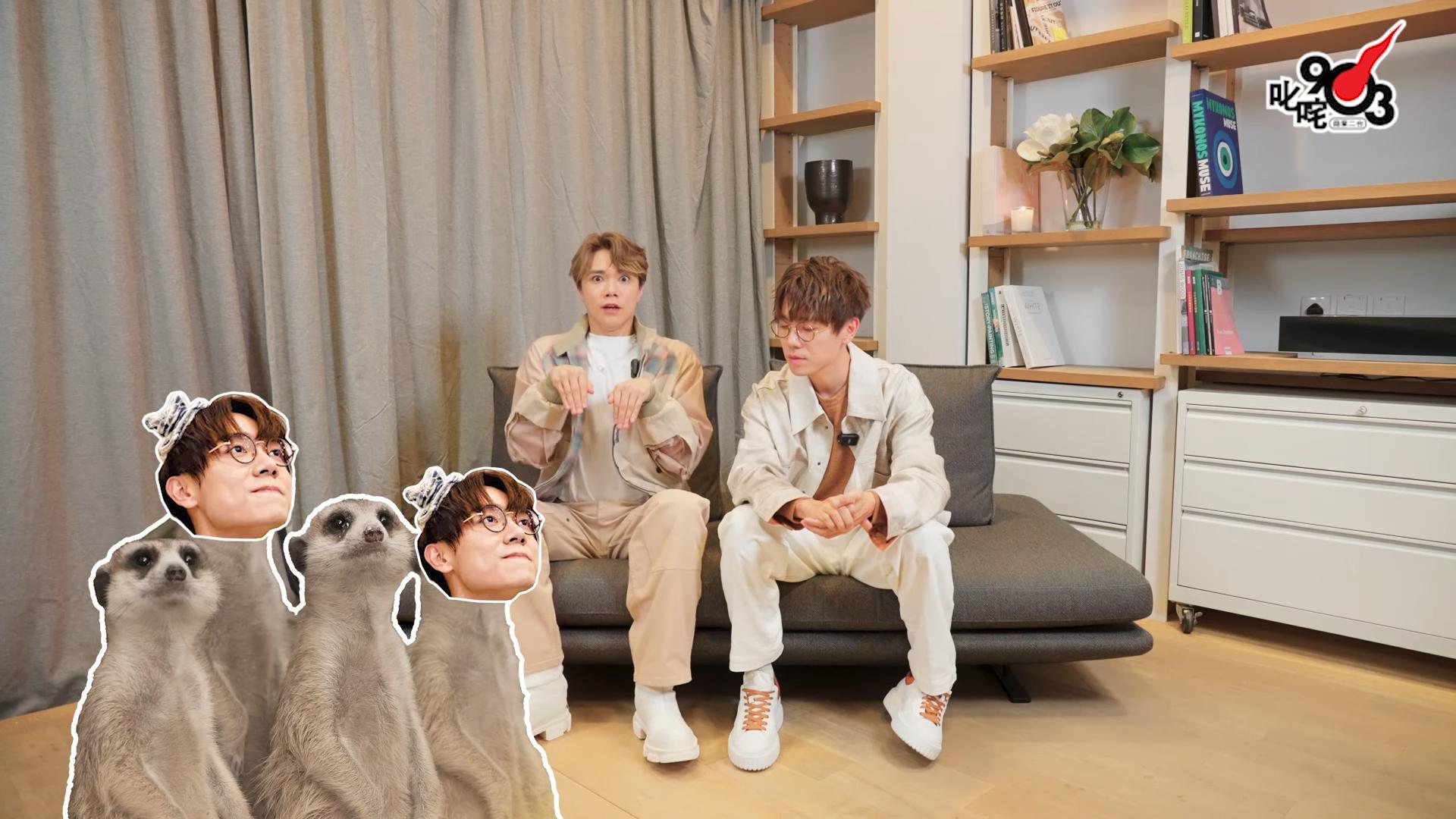 張敬軒指林家謙似狐獴。