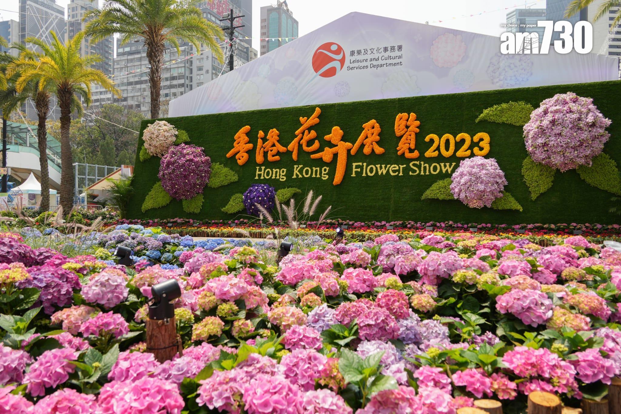 花展2023圖輯(資料圖片)